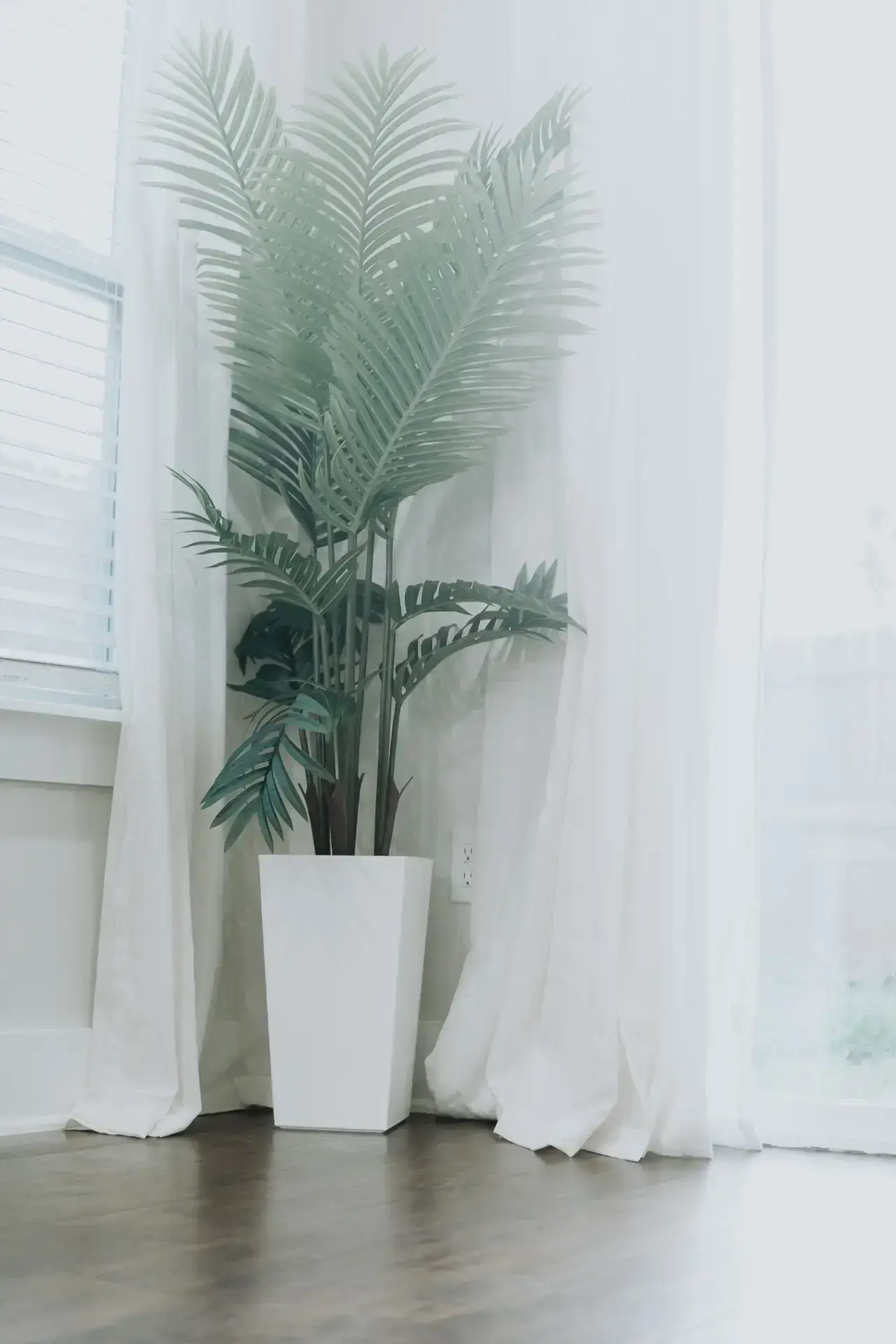 Jax Beach Retreat North — photo 7