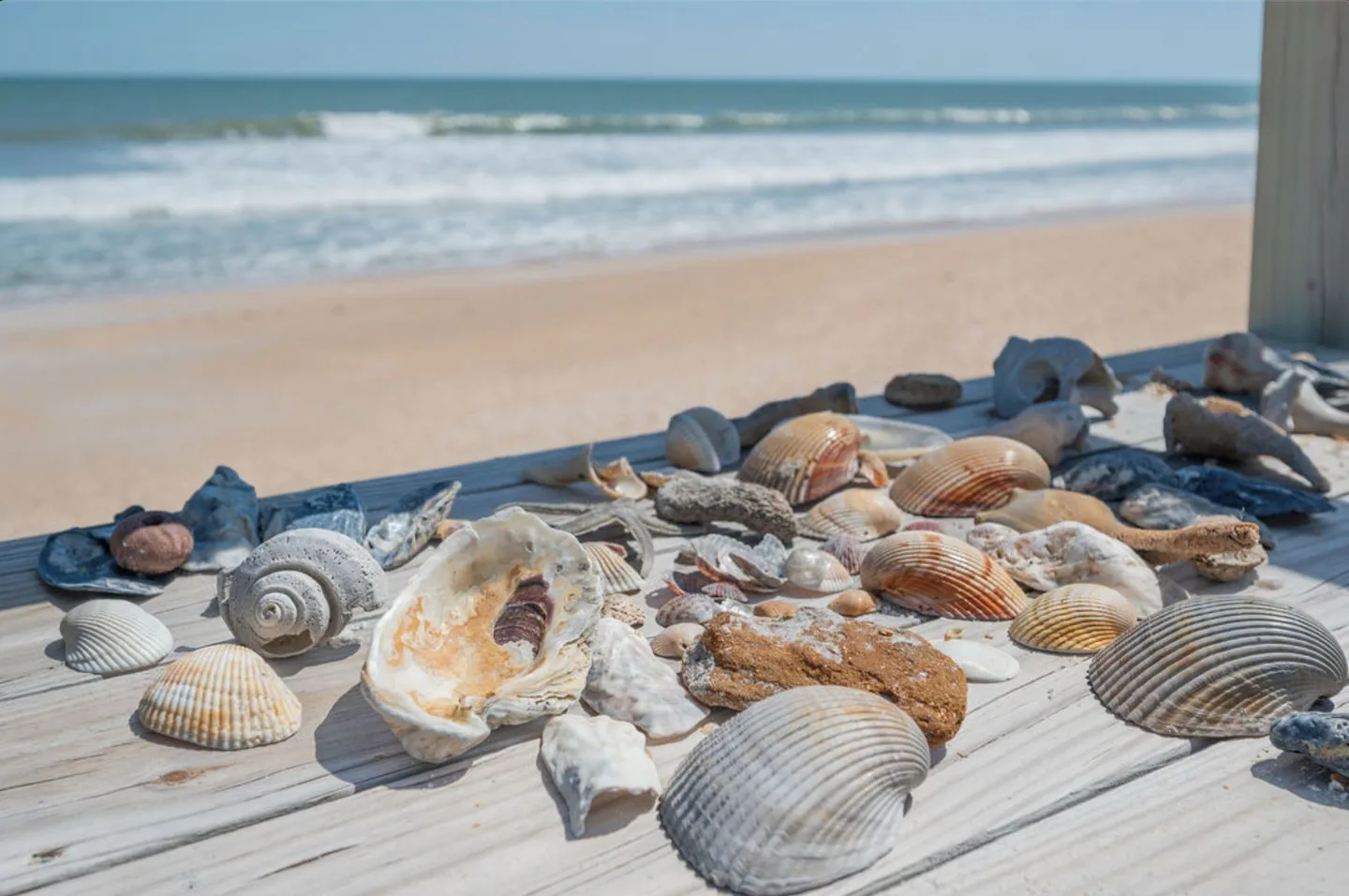 Second Wind Seaside — photo 81